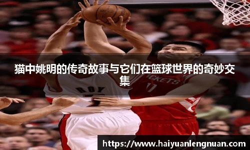 XK星空体育(中国)集团