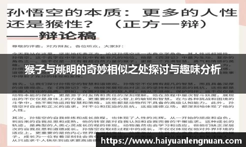 xk体育官网
